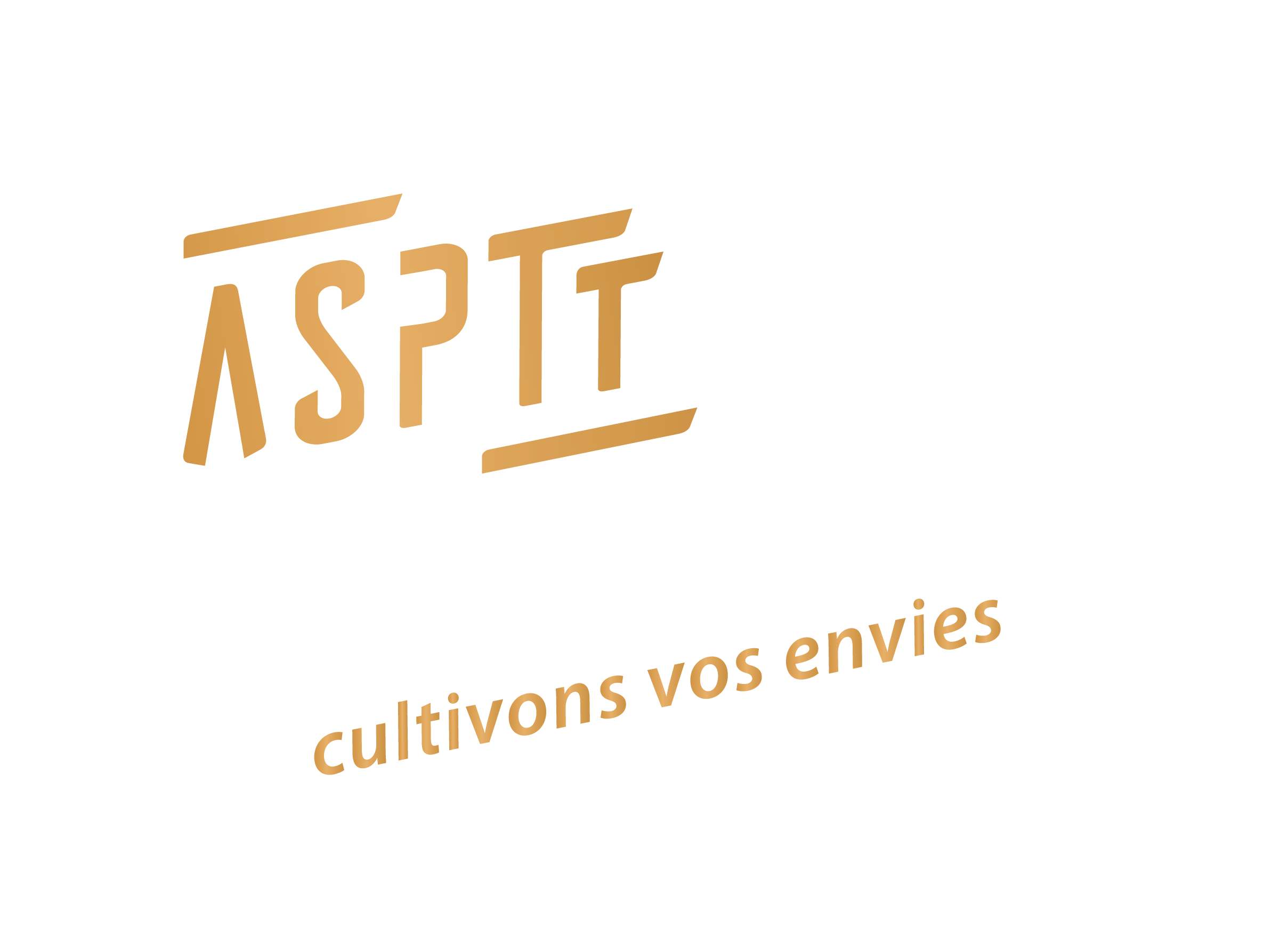 Accueil